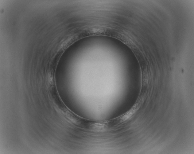 X0000074210176200609081540