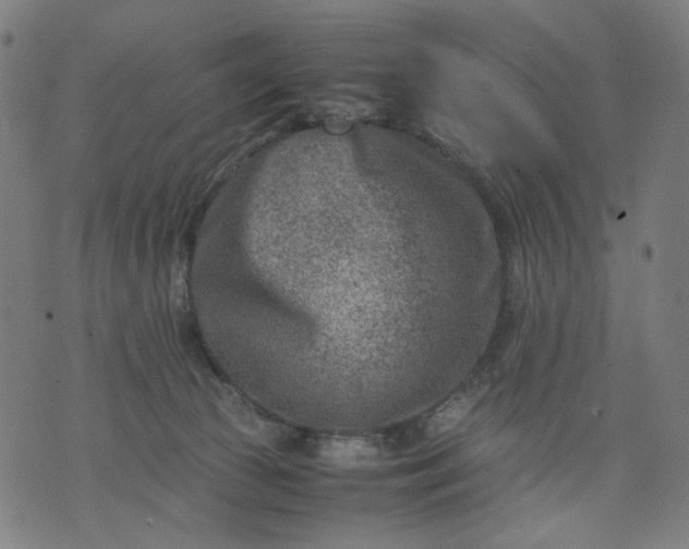 X0000074210177200609081540