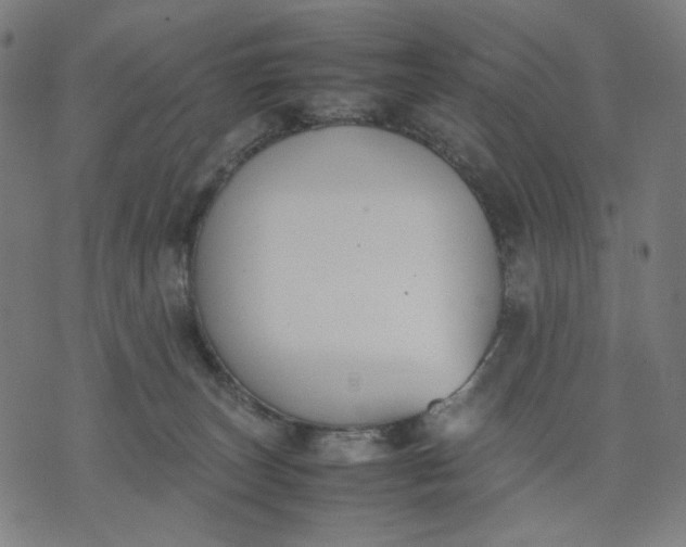 X0000074210179200609081540