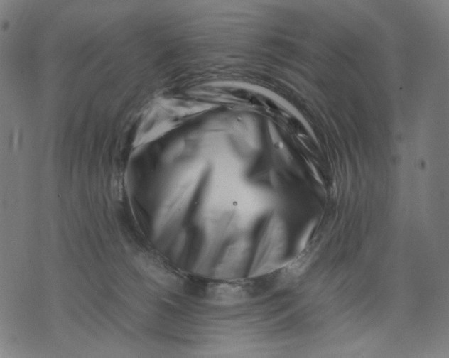 X0000074210180200609081540