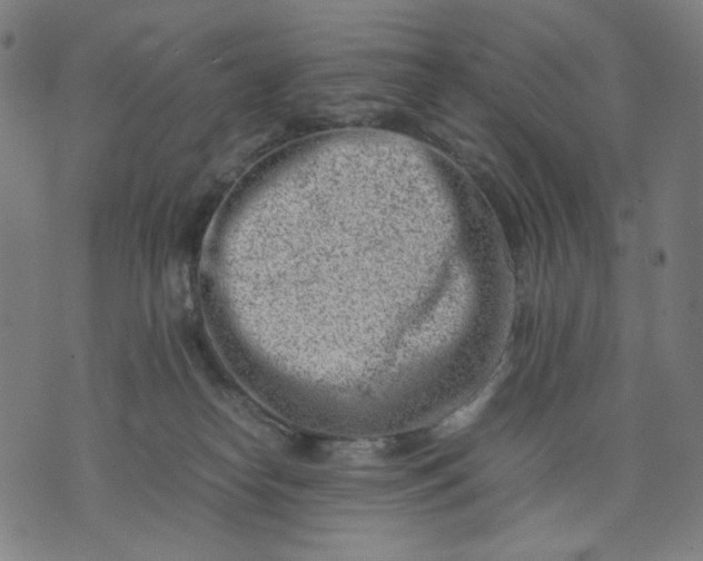 X0000074210182200609081540