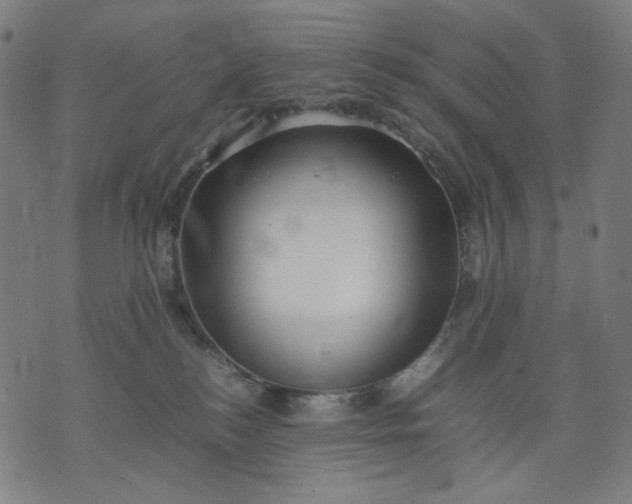 X0000074210184200609081540