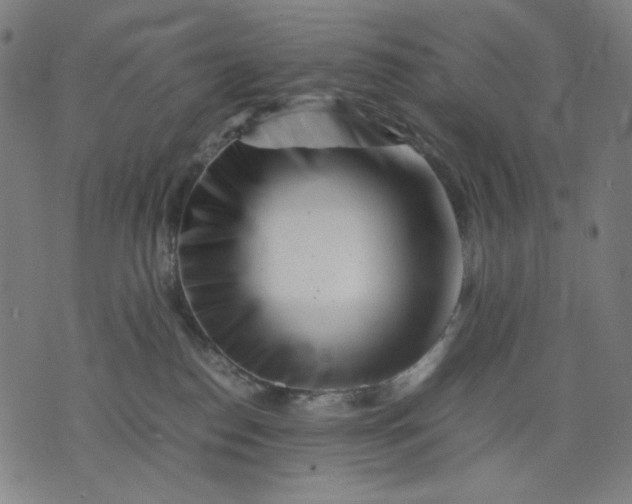 X0000074210186200609081540