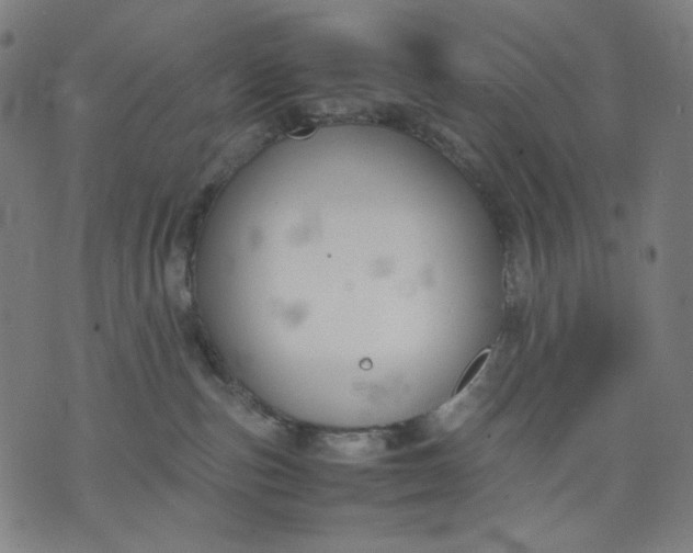 X0000074210187200609081540