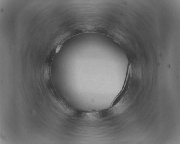 X0000074210188200609081540