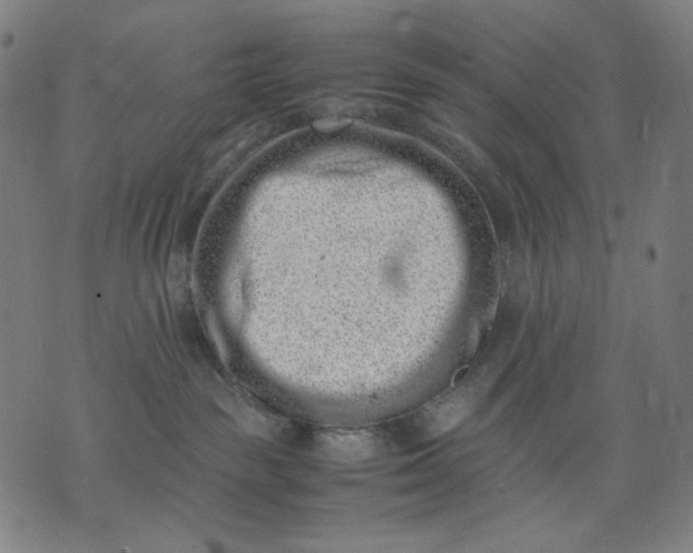 X0000074210189200609081540