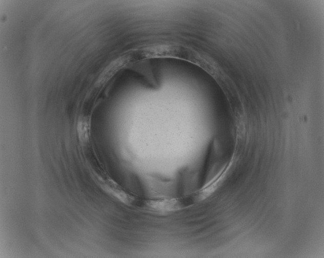 X0000074210191200609081540