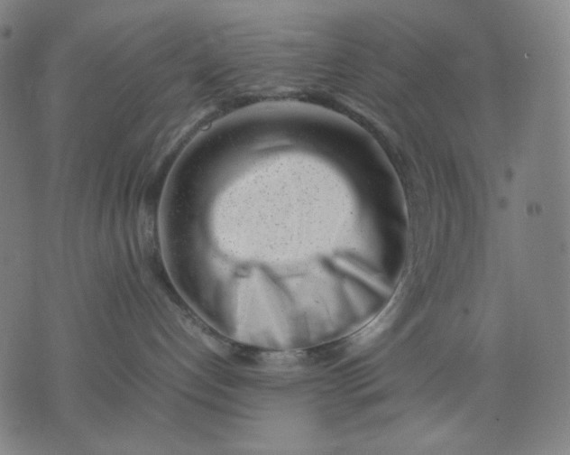 X0000074210192200609081540