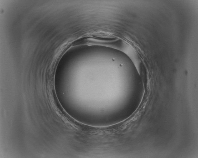 X0000074210193200609081539