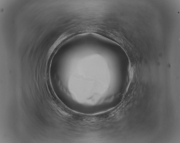 X0000074210195200609081539