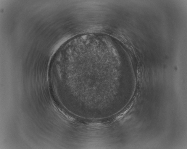 X0000074210196200609081539