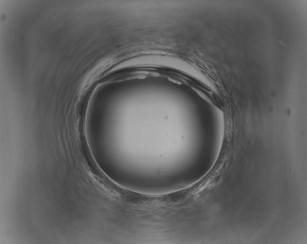 X0000074210197200609081539