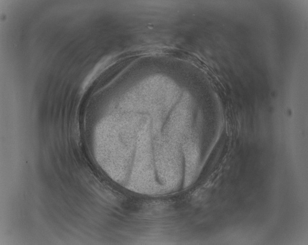 X0000074210198200609081539