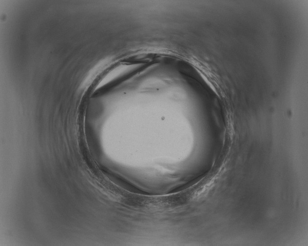 X0000074210199200609081539