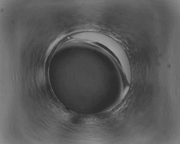 X0000074210200200609081539