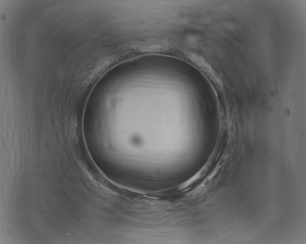 X0000074210201200609081539