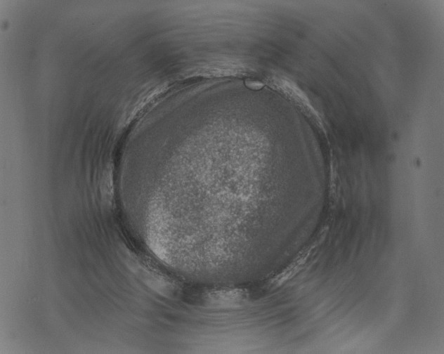 X0000074210202200609081539