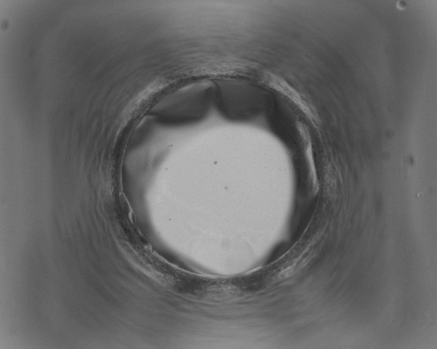 X0000074210203200609081539