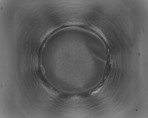 X0000074210204200609081539