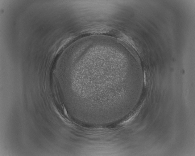 X0000074210205200609081539