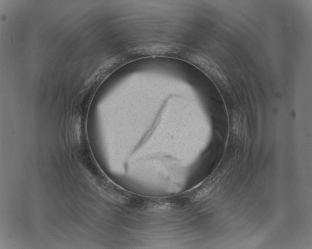 X0000074210206200609081539