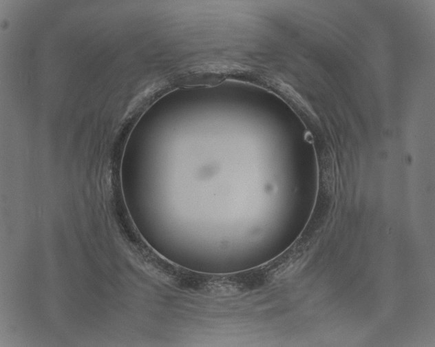 X0000074210207200609081539