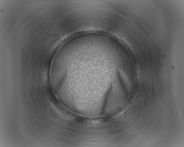 X0000074210208200609081539