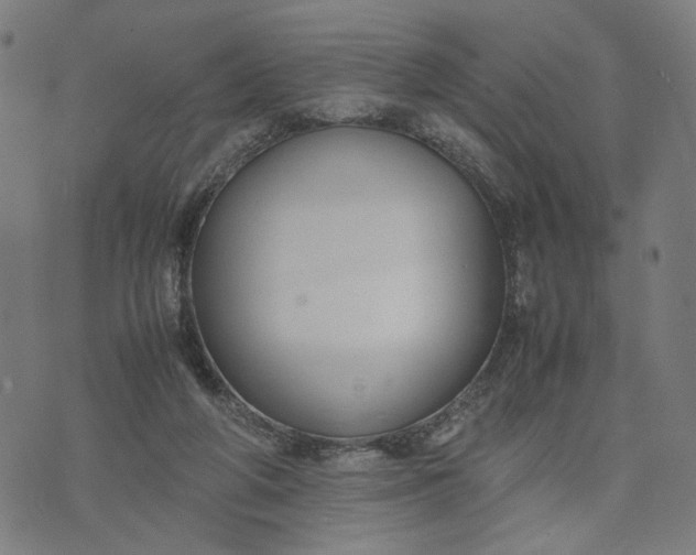 X0000074210210200609081539