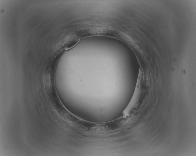 X0000074210211200609081539