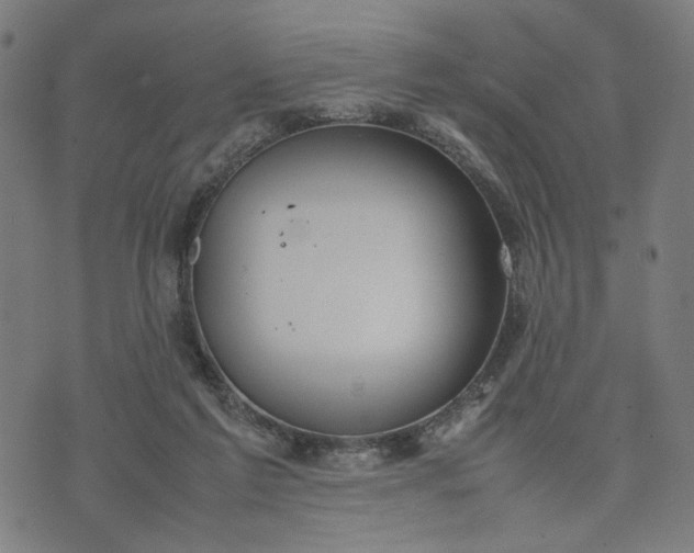 X0000074210213200609081539