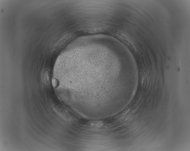 X0000074210214200609081539