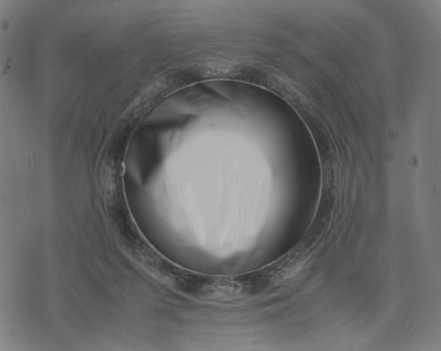 X0000074210215200609081539