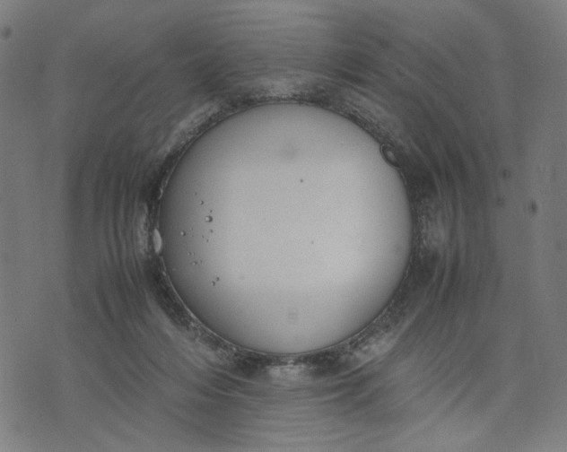 X0000074210216200609081539