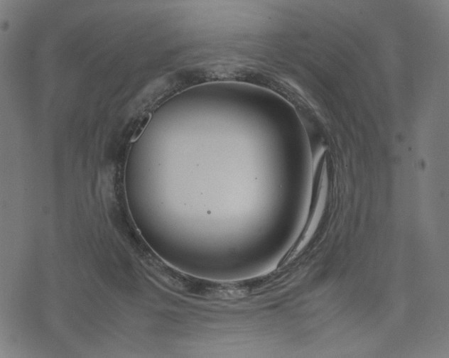 X0000074210217200609081539