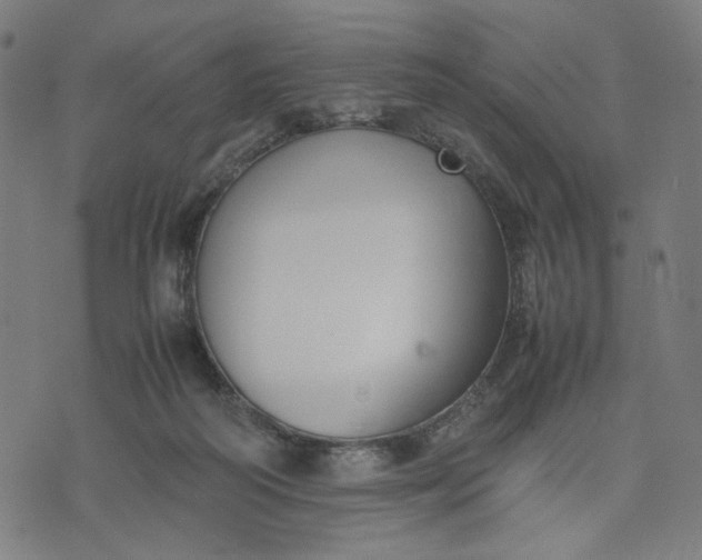 X0000074210218200609081539