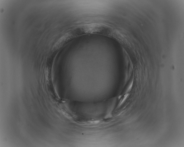 X0000074210219200609081539