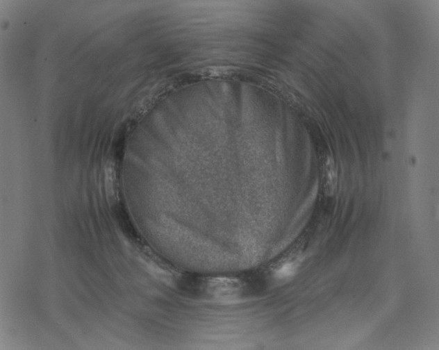 X0000074210222200609081539