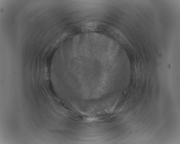 X0000074210224200609081539