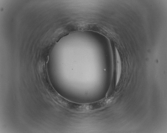 X0000074210225200609081539