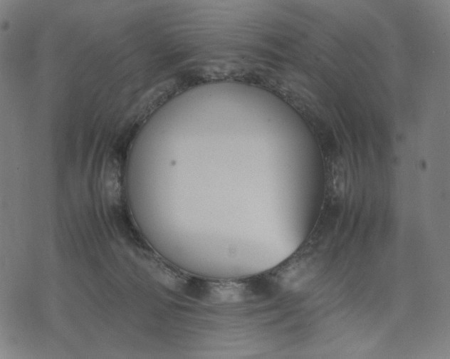 X0000074210226200609081539