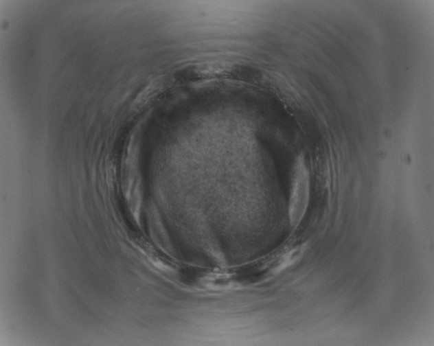 X0000074210227200609081539