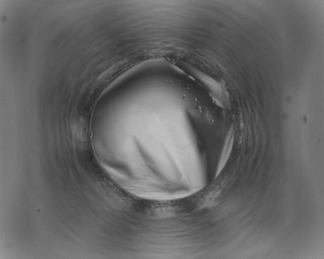 X0000074210228200609081539