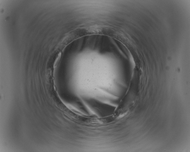 X0000074210229200609081539