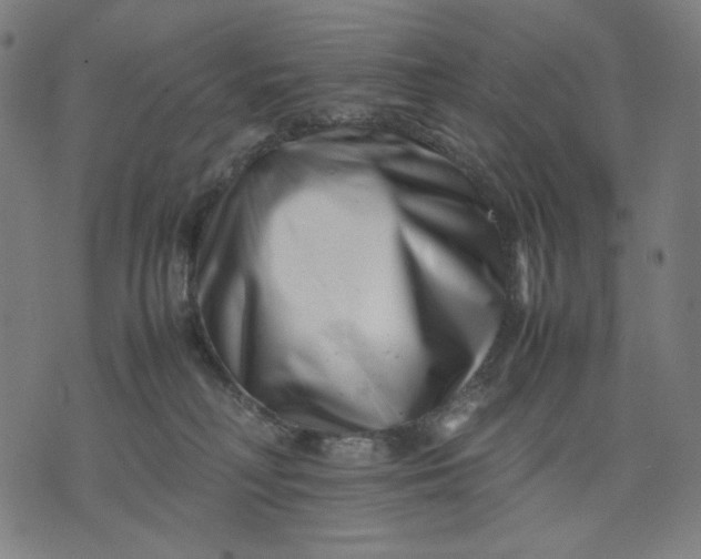 X0000074210230200609081539