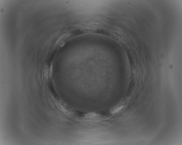 X0000074210231200609081539