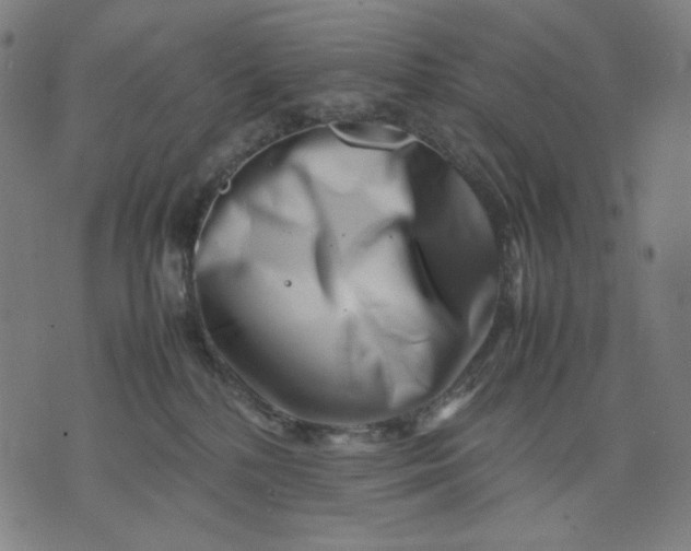 X0000074210232200609081539