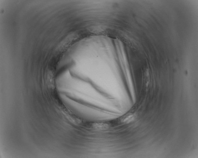 X0000074210234200609081539