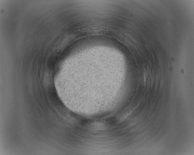 X0000074210236200609081539