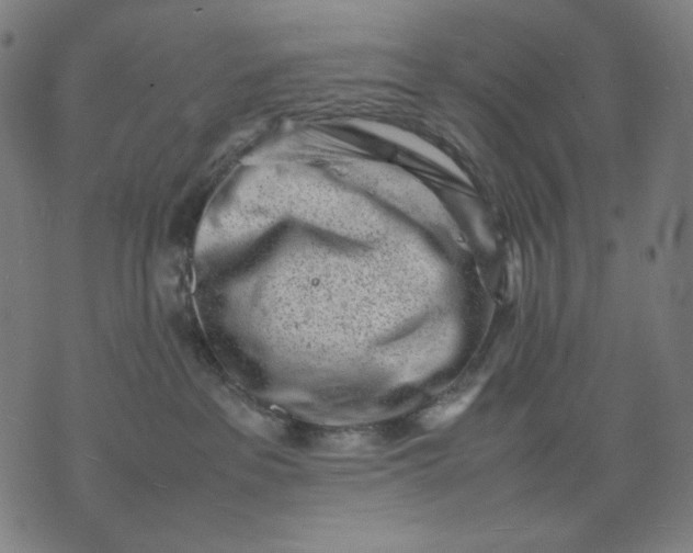 X0000074210237200609081539