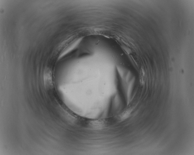 X0000074210238200609081539